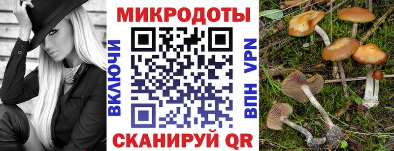 Псилоцибиновые грибы Psilocybe  Купить  Кириши 
