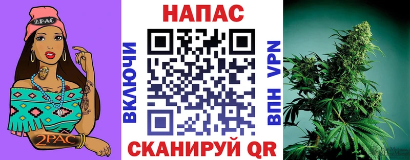 Купить закладки  Кириши  Шишки марихуана Ganja 